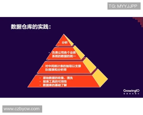 广州排球队在冠军赛中的灵活战术与团队协作表现分析