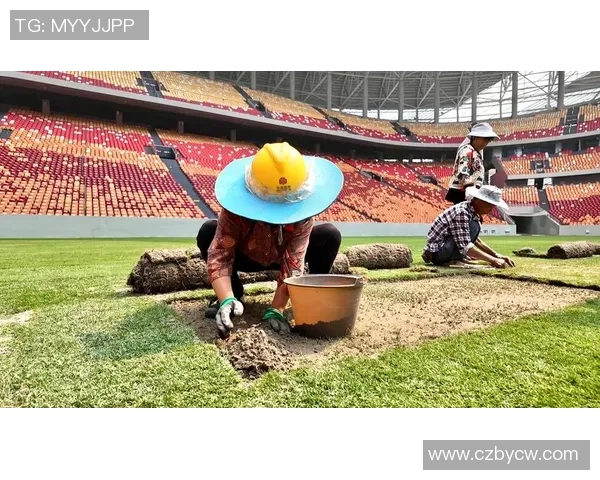 重庆篮球队在世界杯预选赛中的意识表现分析与点评 重庆篮球队在世界杯预选赛中的意识表现分析与点评