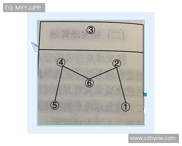 南京排球队进攻策略深度解析与战术创新探讨 南京排球队进攻策略深度解析与战术创新探讨