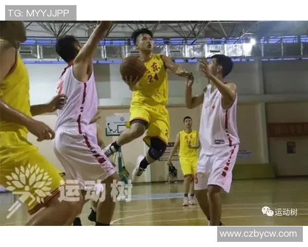 武汉篮球队比赛经验深度对比分析及其对未来发展的影响探讨